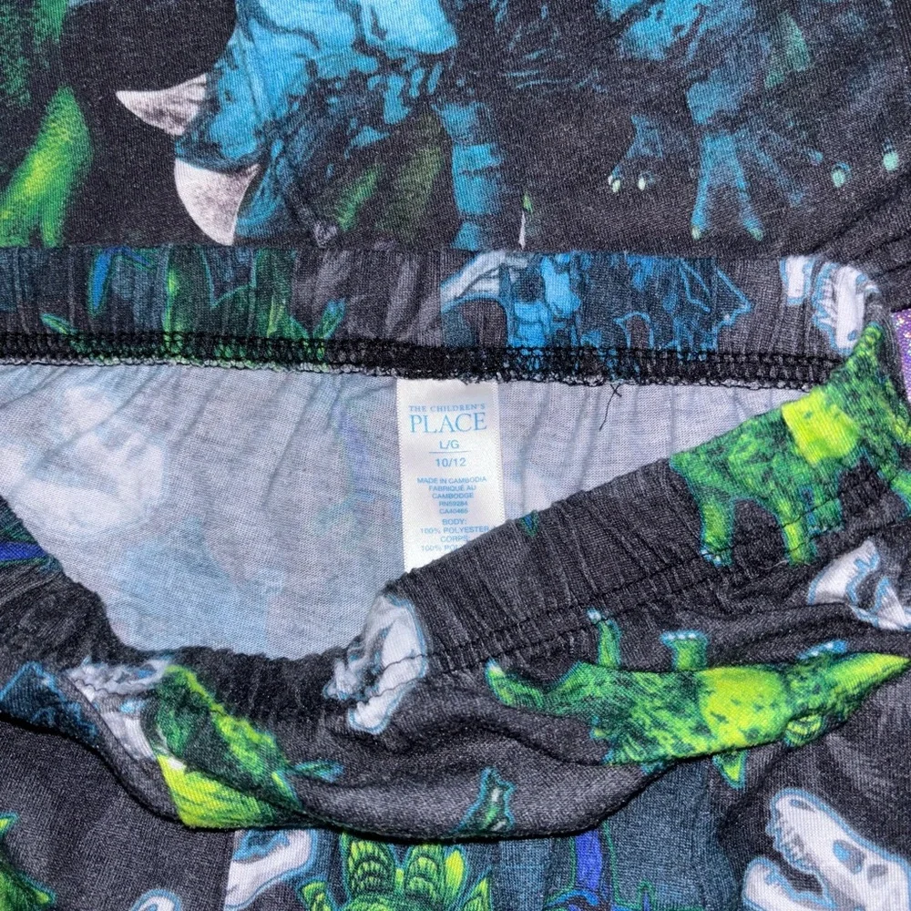 Big Boys Dinosaur Pajamas - Picture 4 of 8